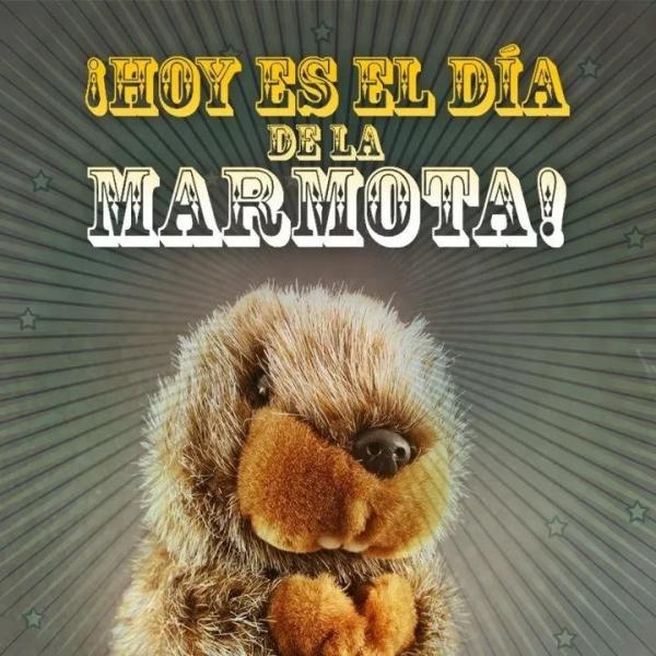 Imagen del día de la Marmota.